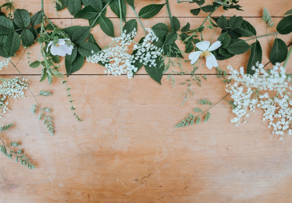annie-spratt-OWq8w3BYMFY-unsplash